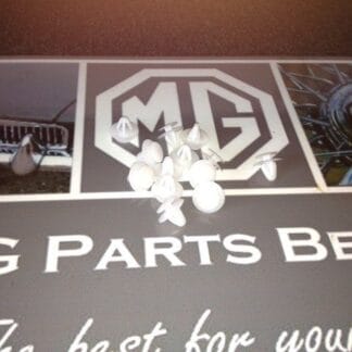 Deurpaneel /doortrim bevestigings 26 clips