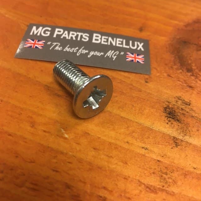 SF605061 Screw hing to body